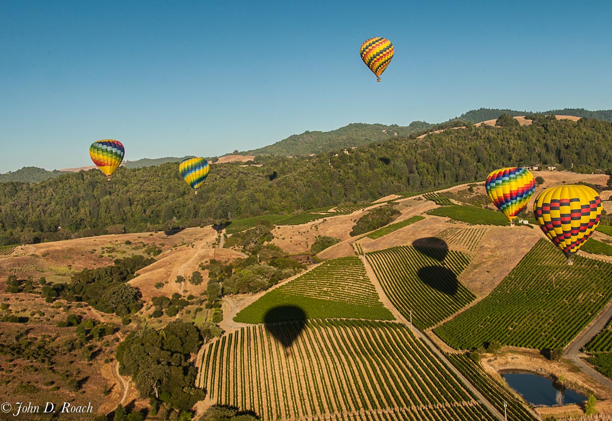 Napa_wine_tours_15