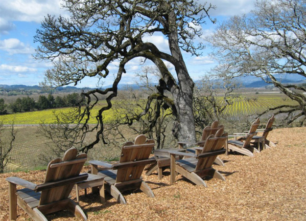 sonoma wine tours