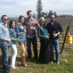 sonoma wine tours