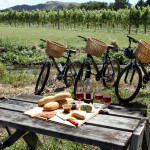 crossover wine country tour